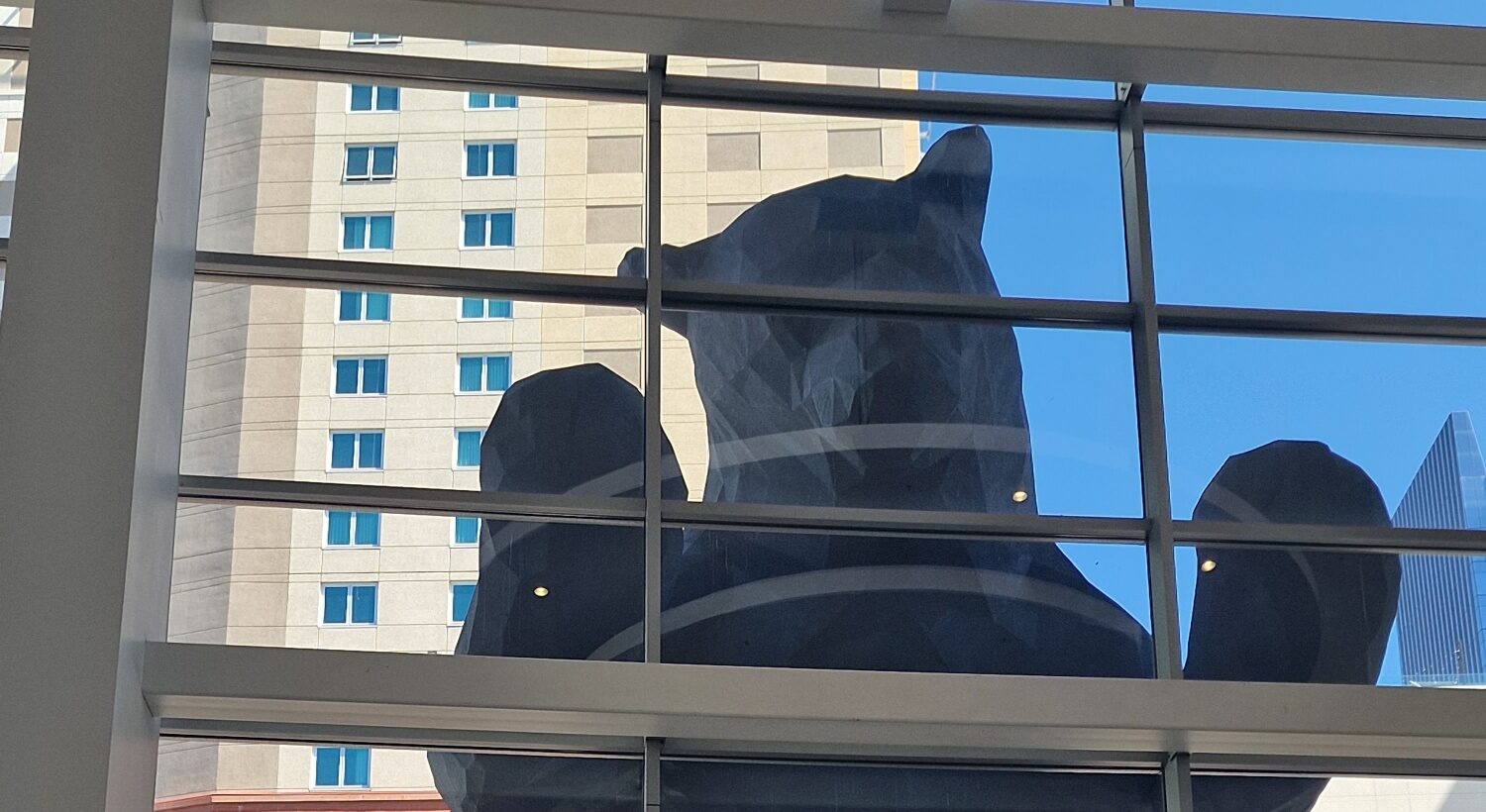 Big blue bear in Denver